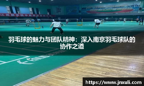 羽毛球的魅力与团队精神：深入南京羽毛球队的协作之道